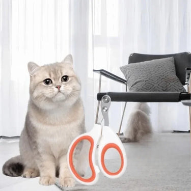 A grey cat sits near the KittyNook Cat Co. PawPerfect Pro Elite Trimmer in a bright, modern living room.